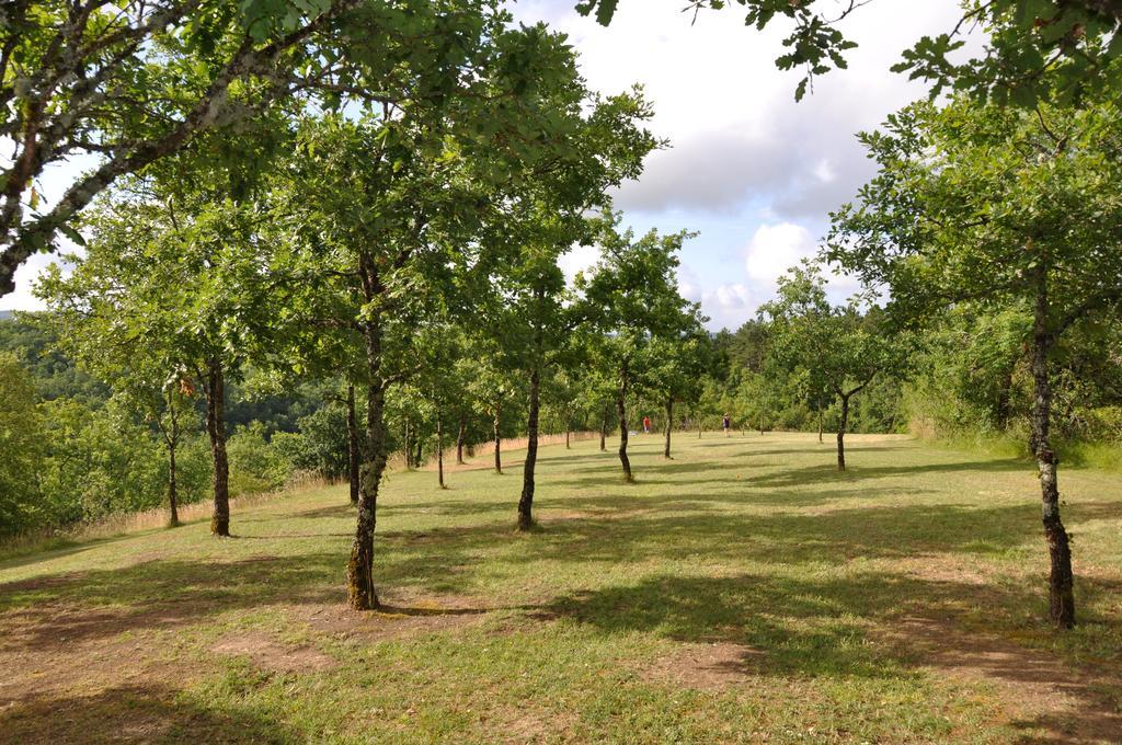 Domaine De La Greze Hotel Murat Екстериор снимка